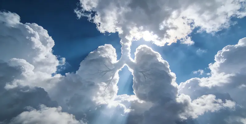 南京肺癌8基因突变检测（组织）图片1