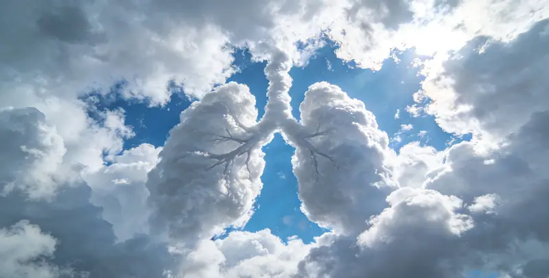 肺癌8基因突变检测（组织）图4