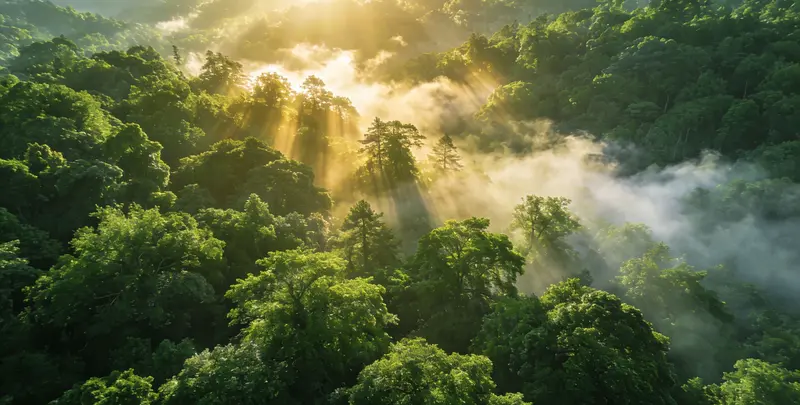 南京肺癌靶向39基因检测及PDL122C3表达检测套餐（组织）图片1