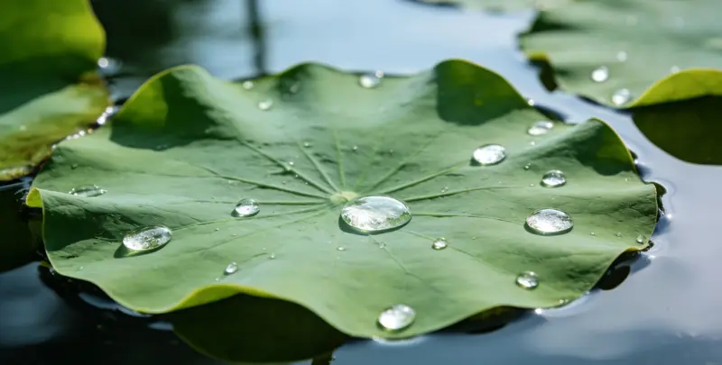 南京乳腺癌21基因mRNA表达分析图片1